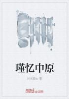 《瑾忆中原》
