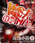 《我的魔法时代》