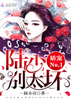 《娇宠No：陆少，别太坏！》