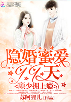 《隐婚蜜爱99天：顾少拥上瘾》