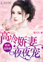《男神强势撩：高冷娇妻，夜夜宠！》