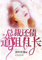 《总裁还债道阻且长》