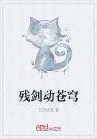 《残剑动苍穹》