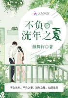 《不负流年之夏》
