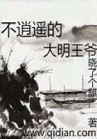 《不逍遥的大明王爷》