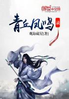 《青丘凤鸣录》
