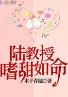 《陆教授嗜甜如命》