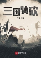 《三国骑砍》