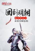 《回到明朝的少年天子》