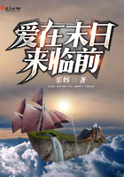 《爱在末日来临前》