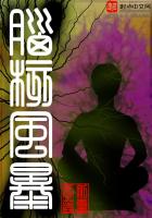 《脑核风暴》