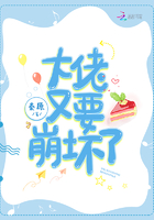 《大佬又要崩坏了》
