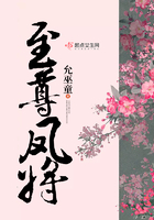 《至尊凤将》