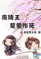 《夜陵王莫要作死》