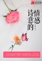 《诗意的情感》