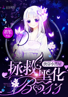 《快穿小黑屋拯救黑化boss》