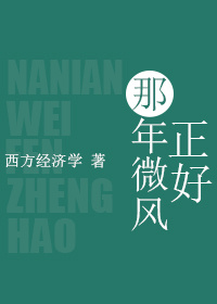 那年微风正好