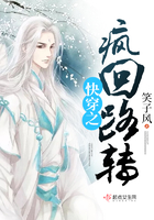 《快穿之疯回路转》