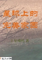 《星球上的完美家园》