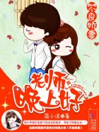《不良娇妻：老师，晚上好》