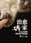 《治愈砖家》