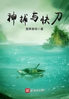 《神捕与快刀》