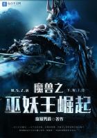 《魔兽之巫妖王崛起》