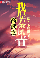 《高武之我是秦凤青》