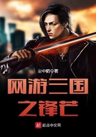 《网游三国之锋芒》