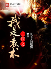 《三国之我是袁术》