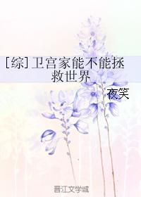 《卫宫家能不能拯救世界》