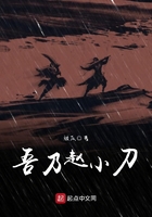 《吾乃赵小刀》