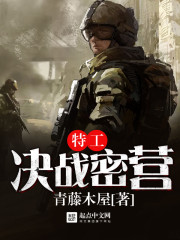《特工决战密营》