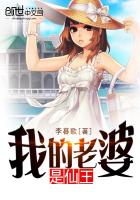 《我的老婆是仙王》