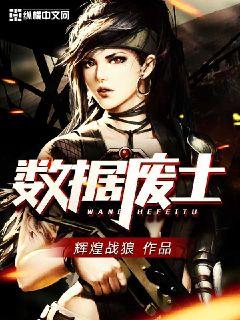 《数据废土》