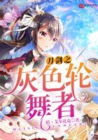 《刀剑之灰色轮舞者》