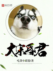 《大宋昏君》