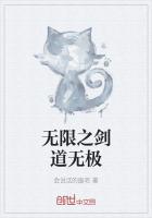 《无限之剑道无极》