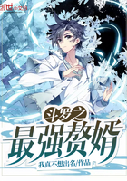 《斗罗之最强赘婿》