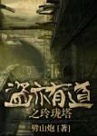 《盗亦有道之玲珑塔》