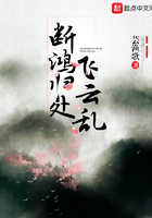 《断鸿归处飞云乱》