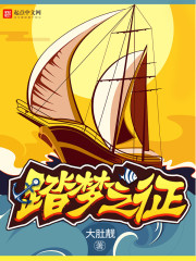 《踏梦之征》