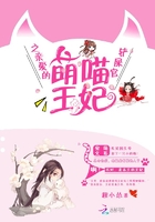 《萌喵王妃之亲爱的铲屎官》