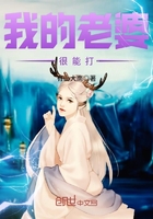 《我的老婆很能打》