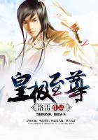 《皇极至尊》