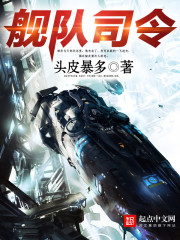 《舰队司令》