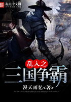 《乱入之三国争霸》