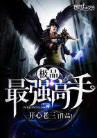《极品最强高手》
