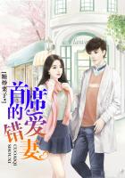 《首席的溺爱》