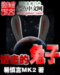 《进击的兔子》
